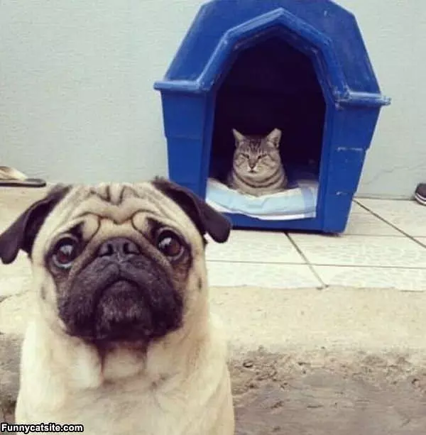 But But Its Mine