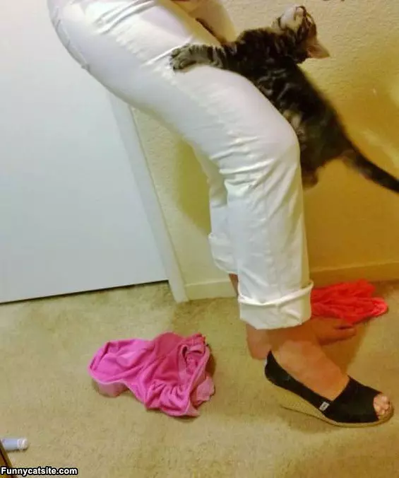 Leg Climber