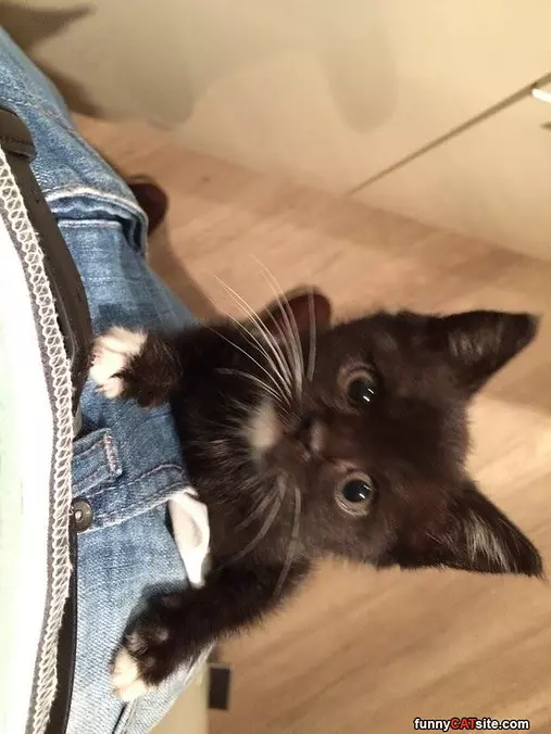 Climbing Jeans