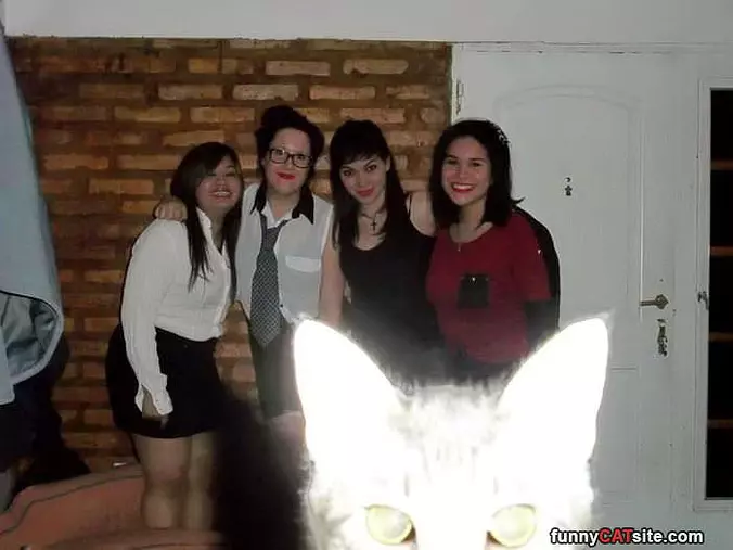 The Photobomb