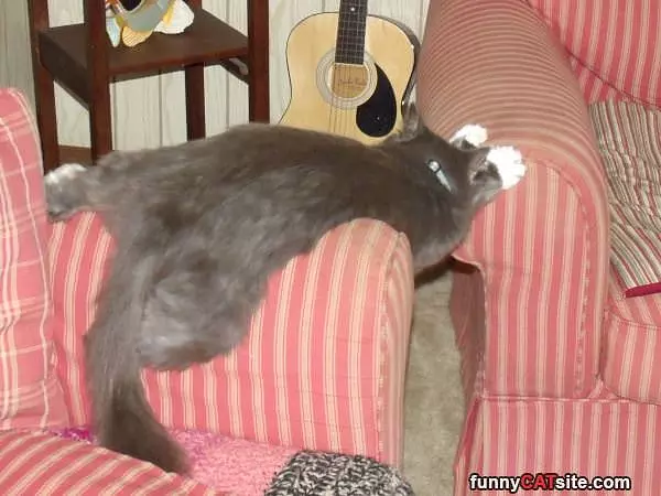 Rocky Sleeping
