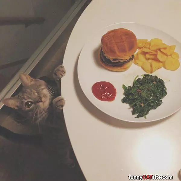 Is This For Me Wink