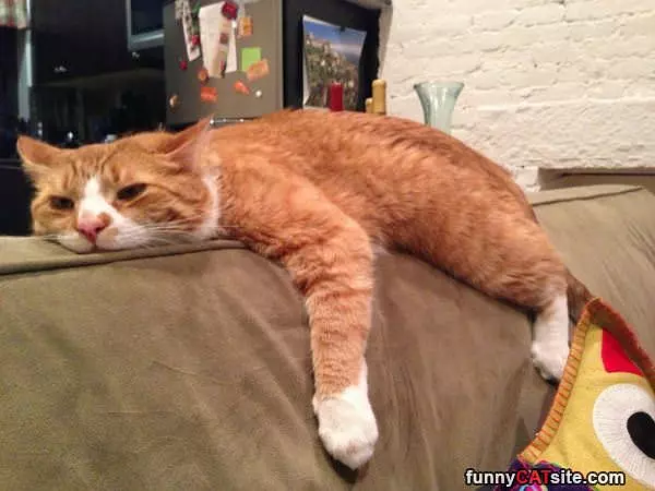 All Out Of Energy Today