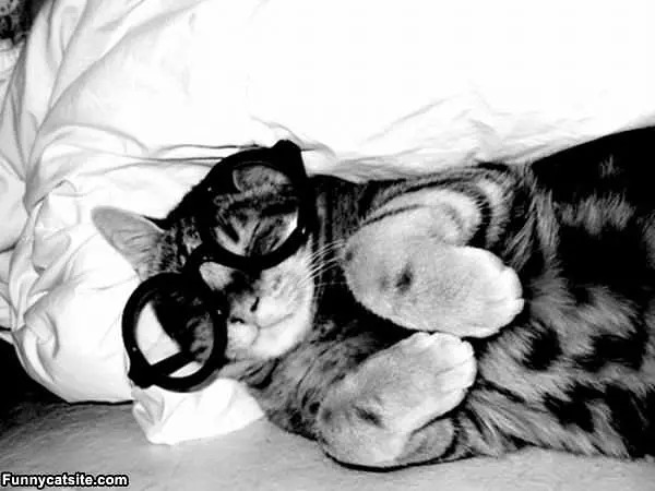 Sleepy Glasses
