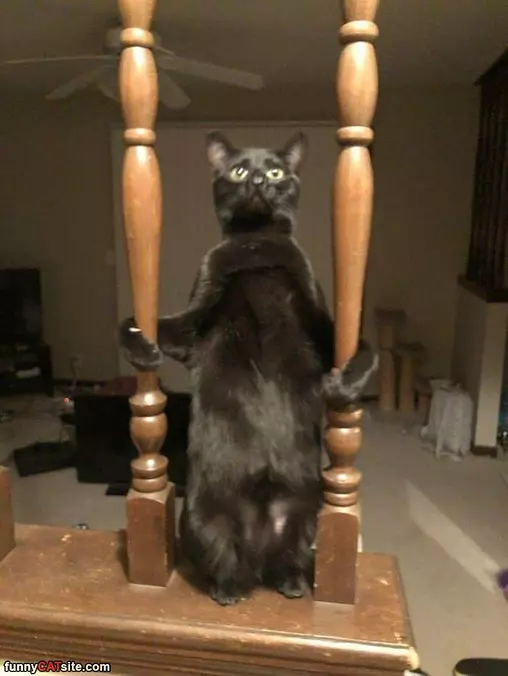 Standing Up Tall Here