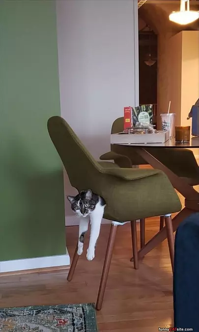 Help Me Out Of The Chair