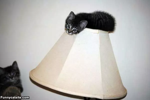 On Top Of The Light
