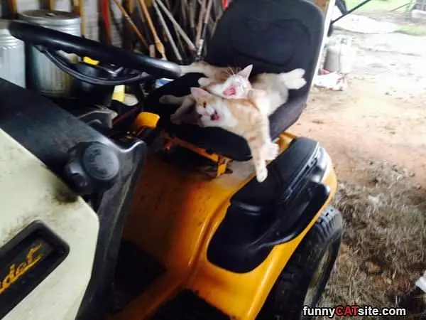 Hahaha Mowing The Lawn