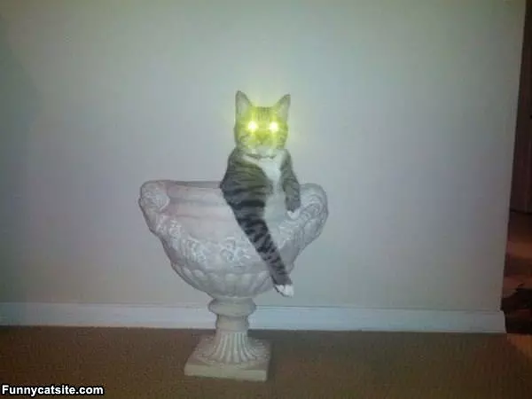Lasers In Charge Mode