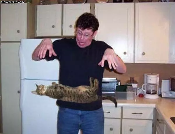 Levetating Cat