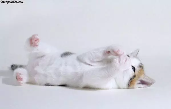 I Are Playing