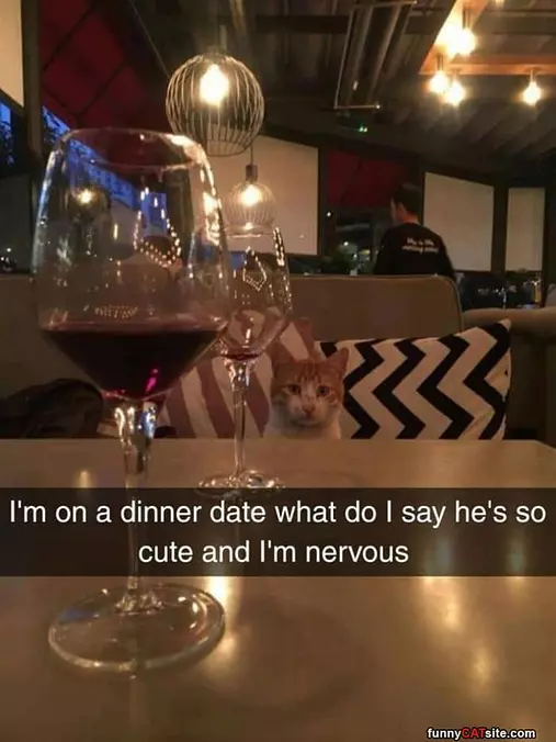 I Am On A Dinner Date