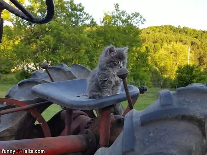Lets Drive