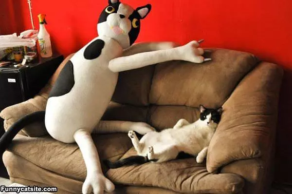 Just Hanging Out