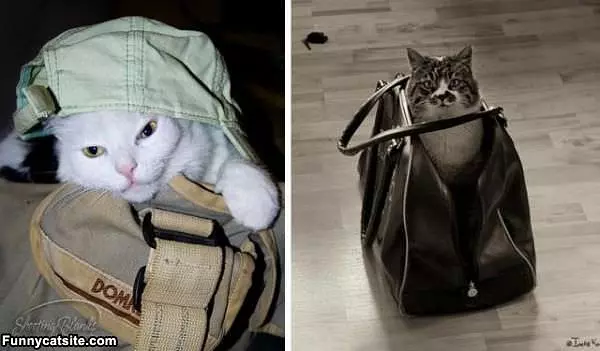 Purses