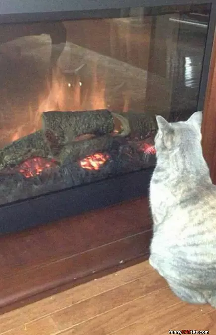 Warming Up