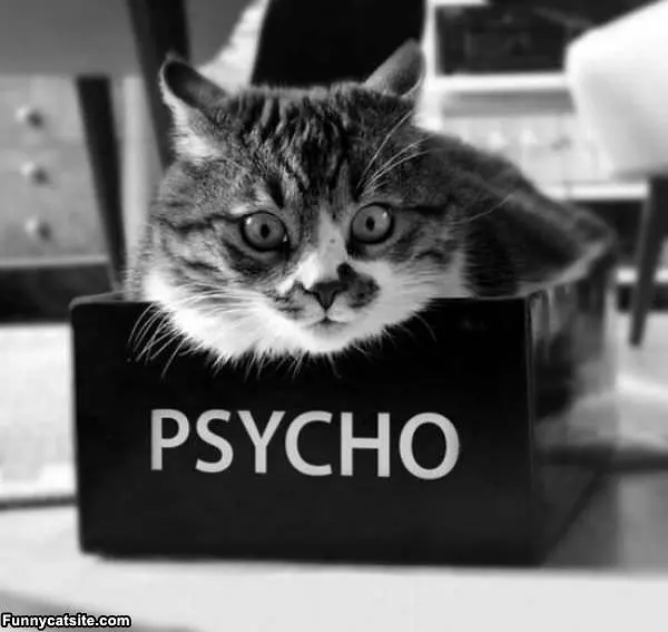 Psycho