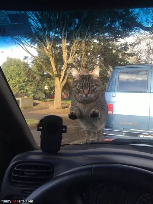 Hey Let Me In