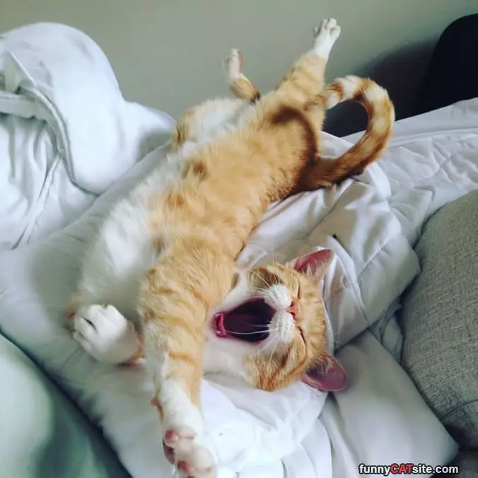 So I Am Relaxed Now