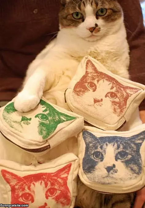 Pillows