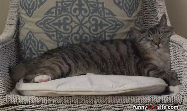 I Sleep Funny