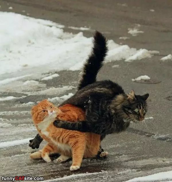 Get Out Of My Way