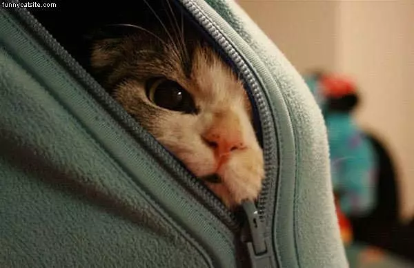 Let Me Out Of Here