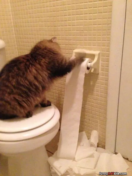 Getting The Paper Out