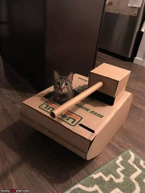 Tank Time