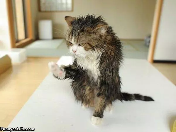 Time After The Bath