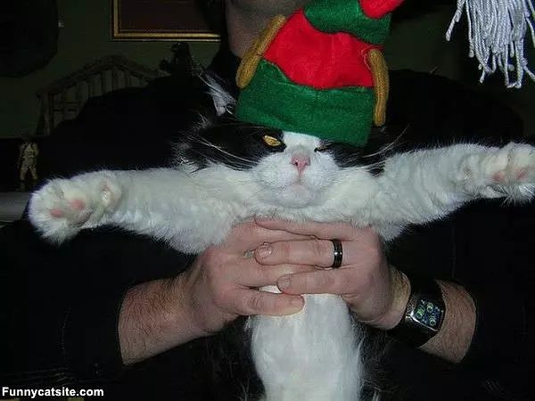 Im An Elf