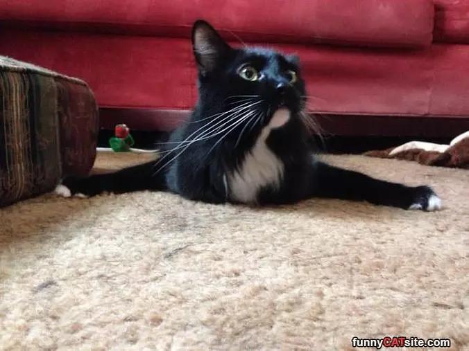 How I Like To Sit