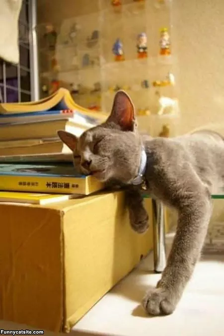 Boring Book