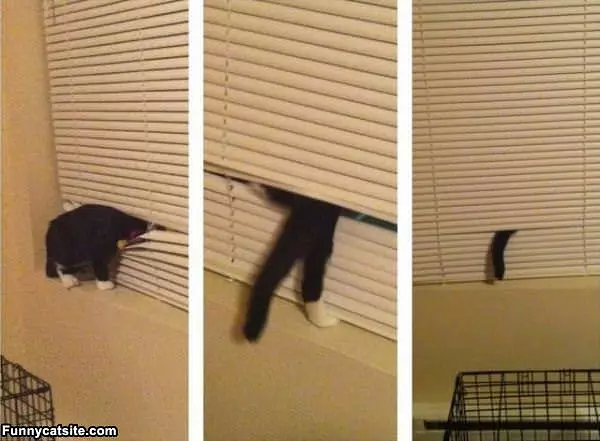 Im Hiding