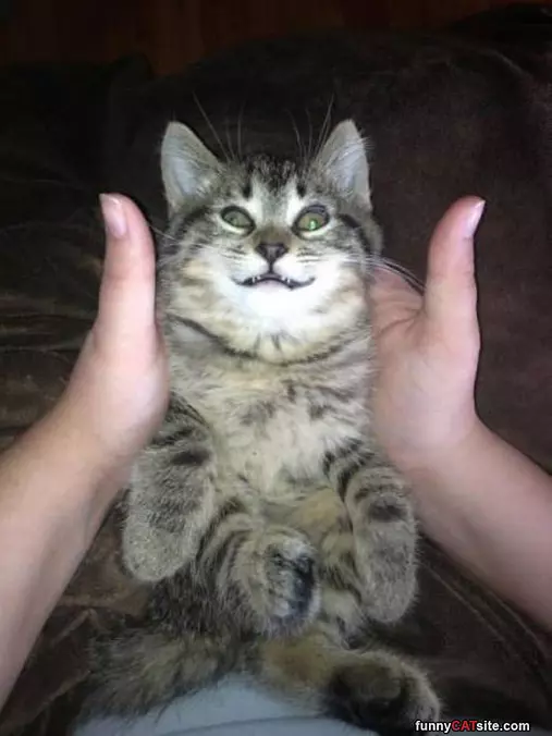 Such My Smile