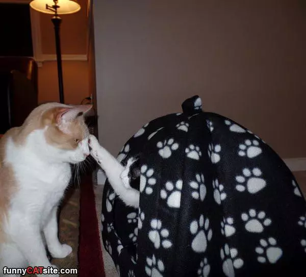 Hey Get Out Of Here