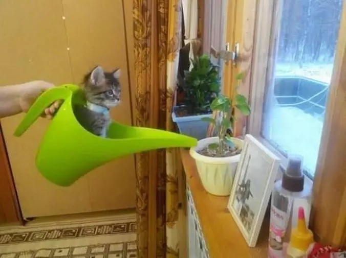 I Am Helping