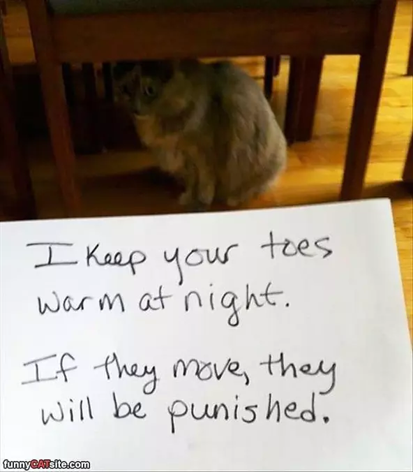 I Keep Your Toes Warm