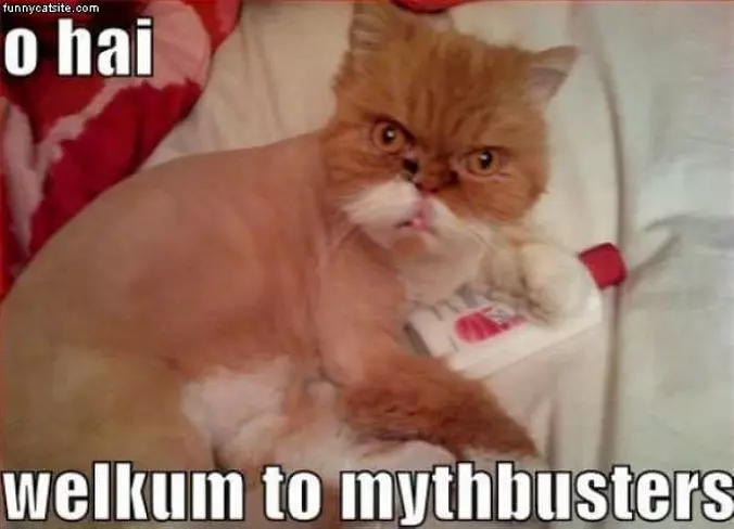 Welcome To Mythbusters