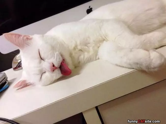 Just Relaxing Over Here