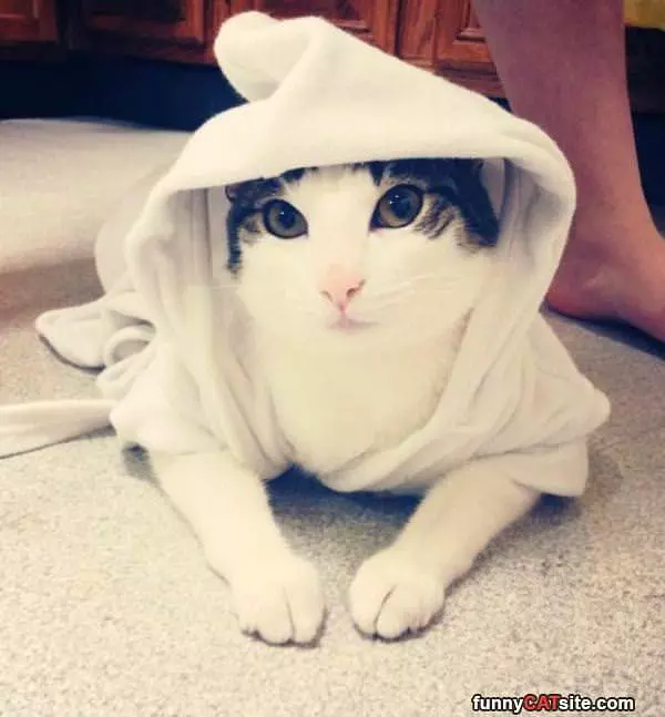 My New Robe