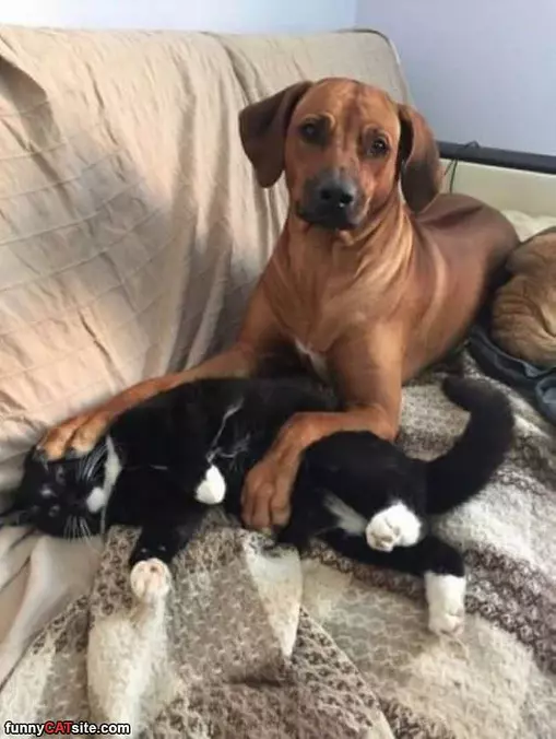 Get Off Me You Filthy Animal