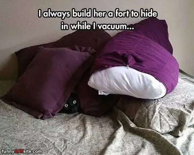 Hiding While I Clean