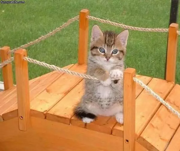 Lookin All Cute