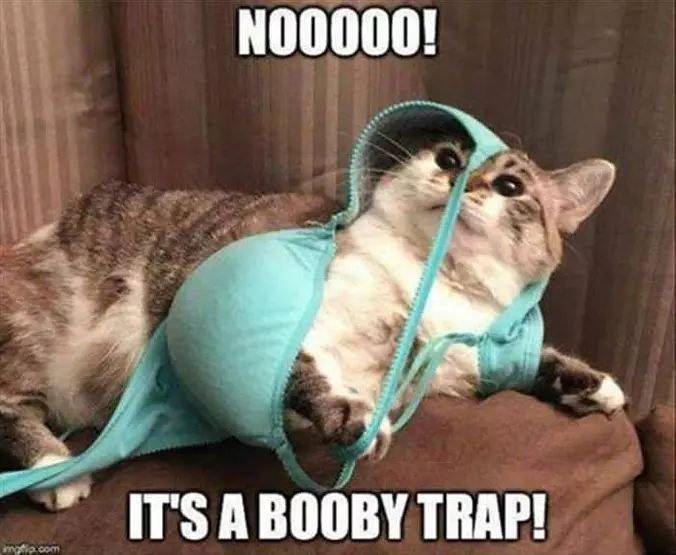 Noooo