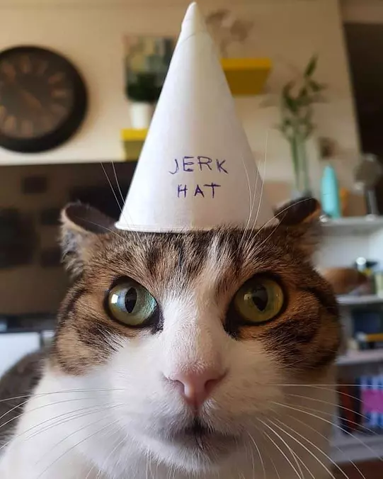 My Hat