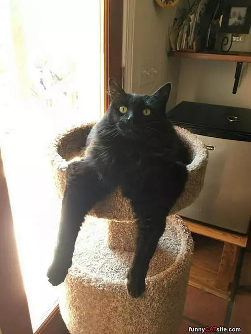 So Relaxed