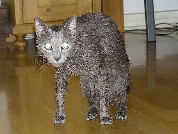 Bath Time