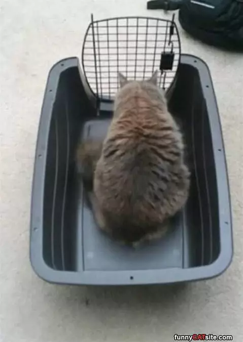 I Cant Get Out