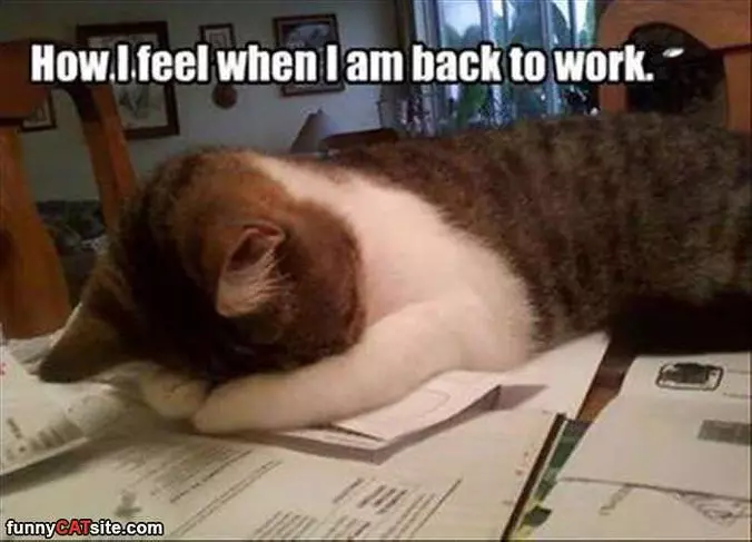 Back To Work